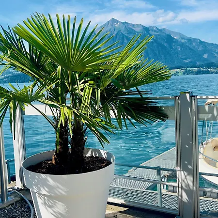 호텔 Boutique Hotel & Restaurant Niesenblick - Lakefront Rooms With Balcony On Lake Thun - Self Check In & Digitale Reception 2*