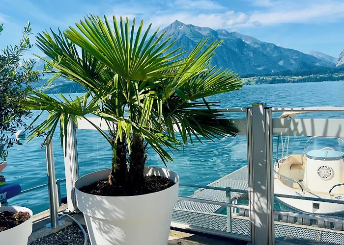 Hotel Boutique Niesenblick - Direkt Am Thunersee Gelegen Mit Self Check In & Digitaler Rezeption 2*